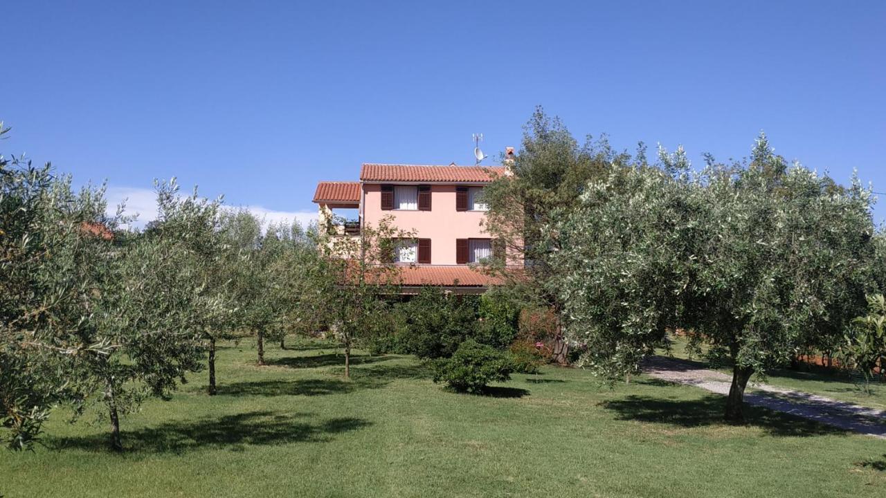 Apartmán Nature *