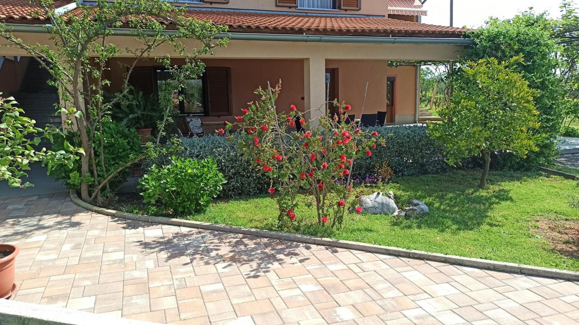 Apartmán Nature